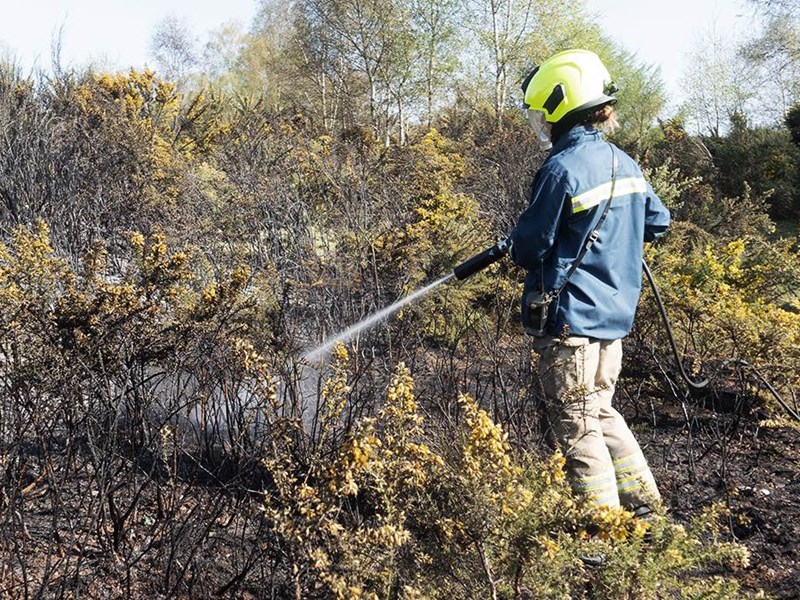 Firefighter hosing down grass fire