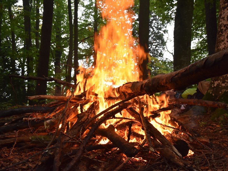 Bonfire
