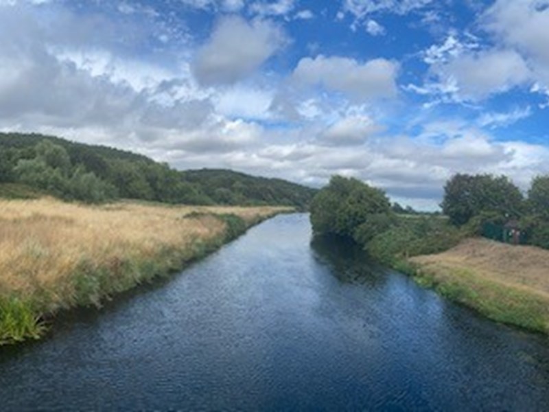 The river Tame