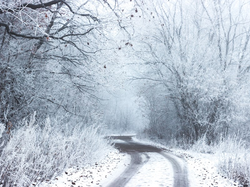 Snowy road